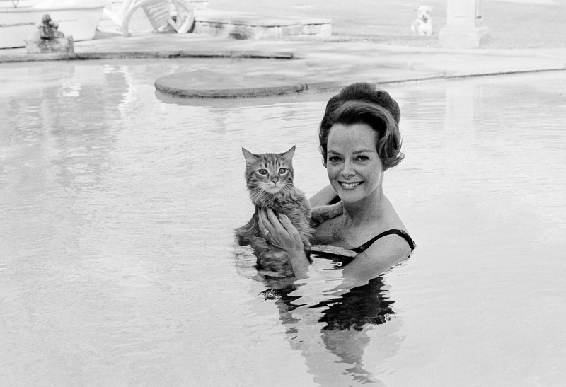 Illustration for article titled Here's a Lady Taking Her Cat for a SwimÂ